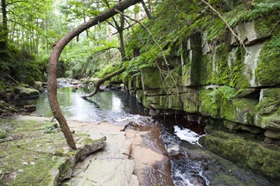 How Stean Gorge