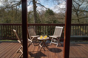 Fern Crag decking, from lounge.jpg